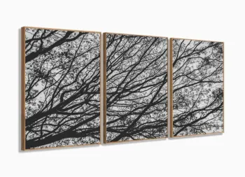 Quadro Galhos Secos Caindo em Preto e Branco Jogo 3 Peças com moldura filete
