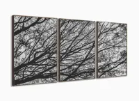 Quadro Galhos Secos Caindo em Preto e Branco Jogo 3 Peças com moldura filete - Foto 2