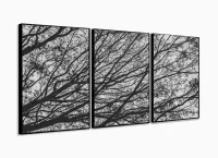 Quadro Galhos Secos Caindo em Preto e Branco Jogo 3 Peças com moldura filete - Foto 3