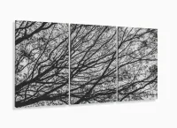 Quadro Galhos Secos Caindo em Preto e Branco Jogo 3 Peças com moldura filete - Foto 5