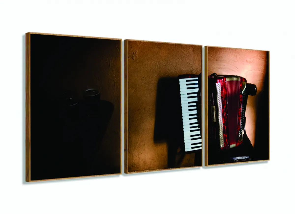 Quadro Sanfona Acordeon E Cerveja Vintage Decorativo 3 peças 120x60 com moldura filete Imagem