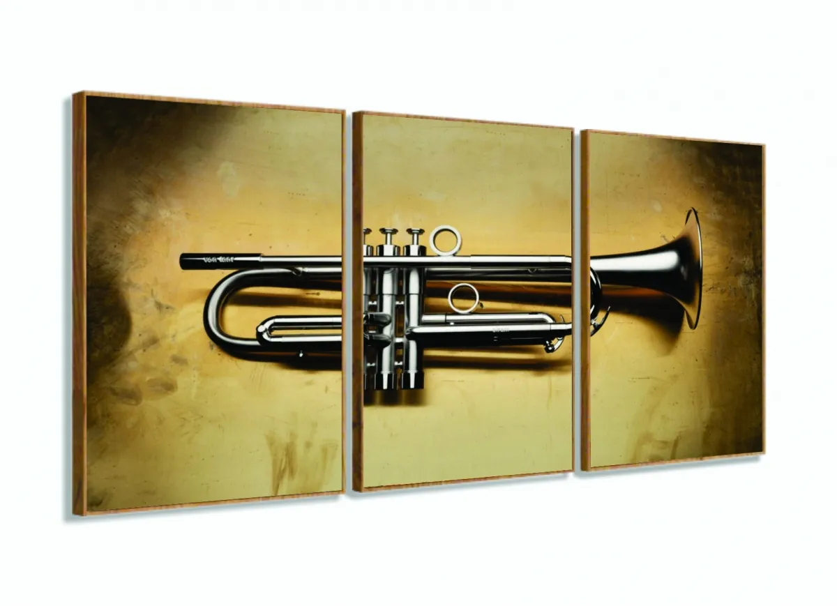 Quadro Trompete Vintage Decorativo 3 Peças 120x60 em tecido com moldura filete Imagem
