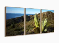 Quadros Decorativos Cacto 120x60 3 peças em Tecido com moldura filete