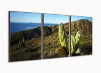 Quadros Decorativos Cacto 120x60 3 peças em Tecido com moldura filete - Foto 2