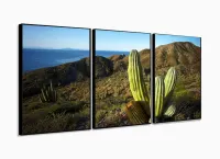 Quadros Decorativos Cacto 120x60 3 peças em Tecido com moldura filete - Foto 3