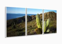 Quadros Decorativos Cacto 120x60 3 peças em Tecido com moldura filete - Foto 4