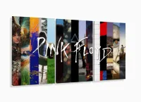 Quadros Decorativos Musica Pink Floyd 120x60 3 peças em Tecido com moldura filete - Foto 5