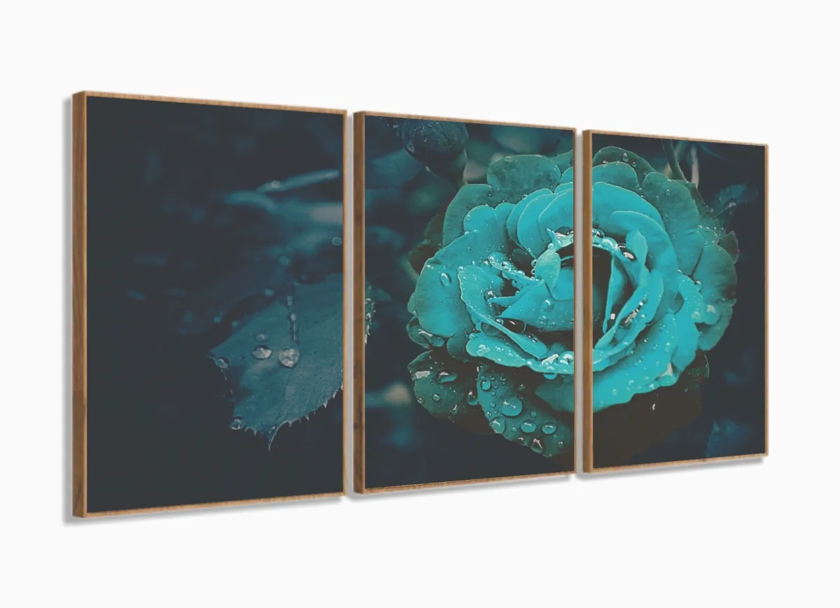 Quadros Decorativos Rosa Tiffany Botanico Sala 120x60 3 peças com moldura filete Imagem