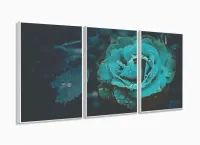 Quadros Decorativos Rosa Tiffany Botanico Sala 120x60 3 peças com moldura filete - Foto 4