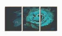 Quadros Decorativos Rosa Tiffany Botanico Sala 120x60 3 peças com moldura filete - Foto 6