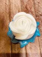 Rosa com base folha