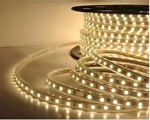 Mangueira Fita de LED Chata Rolo 100mts Branca Quente Imagem