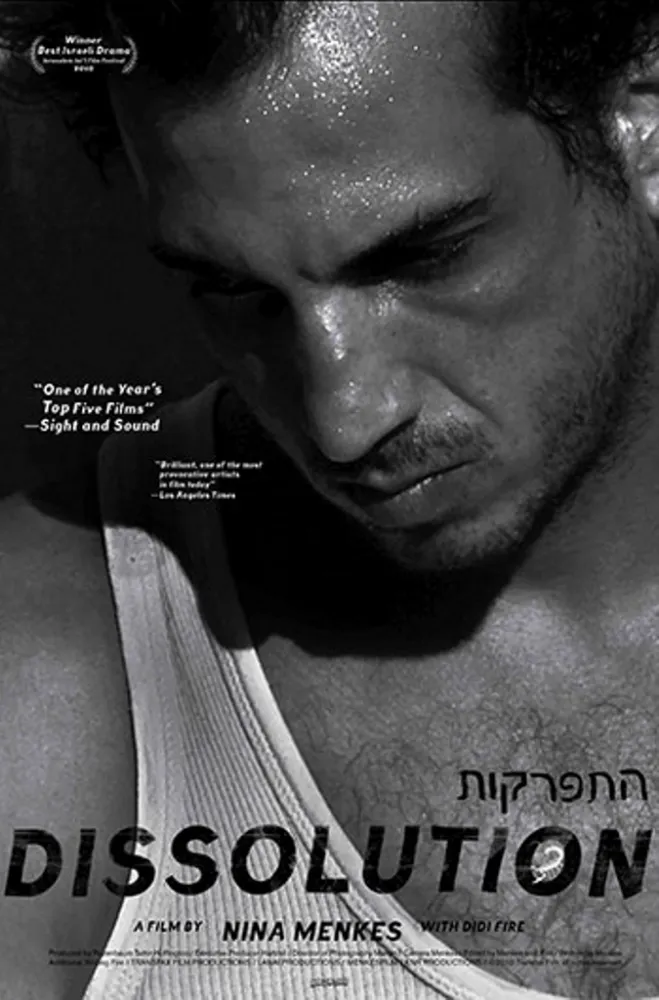 Dissolution (2010) Nina Menkes DVD - legendas em português Imagem