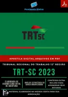 Apostila TRT SC Analista Área Judiciária 2023