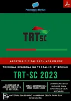 Apostila TRT SC Analista Área Engenharia Civil 2023