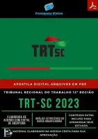 Apostila TRT SC Analista Área Tecnologia da Informação 2023