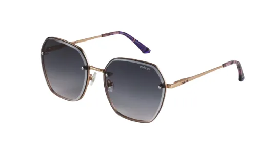 COLCCI C0226 E29 33  Imagem