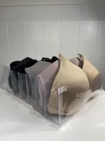 Colmeia Rasteirinha - Foto 2