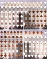 Álbum p/ Moedas Incompleto com 62 Moedas -  Lincoln Cent (0,01 / Cent) - 1909 a 2046 - 2 Volumes - Estados Unidos
