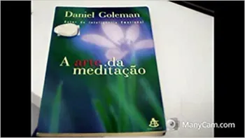 A ARTE DA MEDITAÇAO (PRODUTO USADO - MUITO BOM)