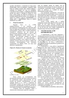 Apostila BH Belo Horizonte 2023 cargo Engenharia Florestal - Foto 5