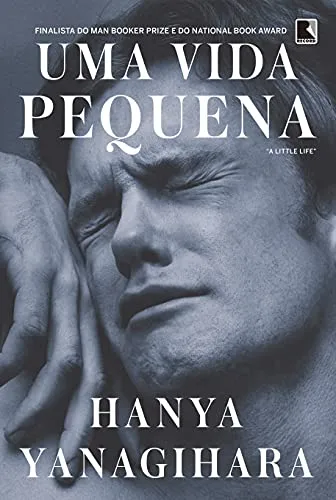 UMA VIDA PEQUENA (PRODUTO USADO - MUITO BOM)
