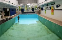Consertos manutenção reparos e repintura de piscinas de fibra de vidro em Belo Horizonte MG - Foto 15