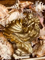 Vela sereia na concha - Foto 4