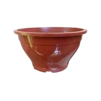 100 Vasos Cuia 17 para suculentas - Marrom - Foto 4