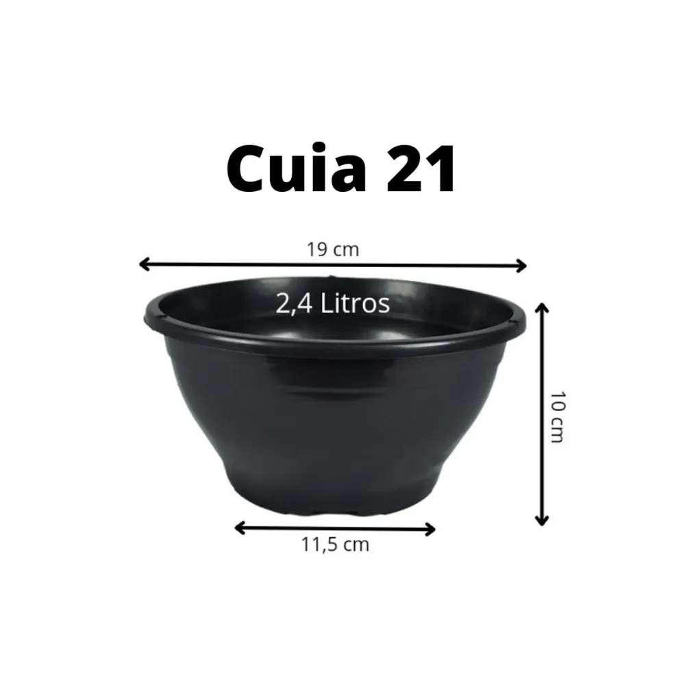 Um vaso  cuia 21 para suculentas - Preto Imagem