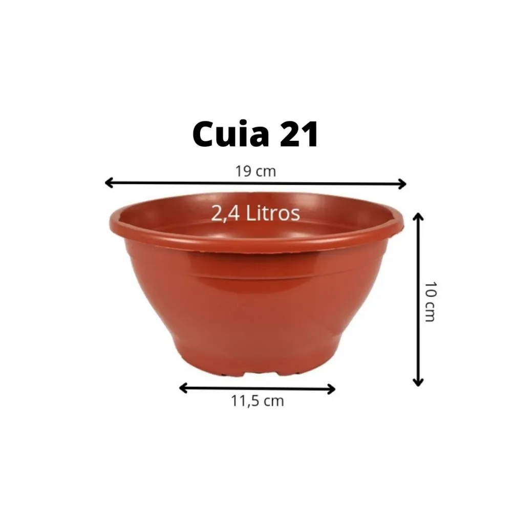 100 Vasos Cuia 21 para suculentas - Marrom Imagem