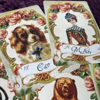 Baralho Lenor-Rosas - Baralho Cigano das Rosas - Foto 17