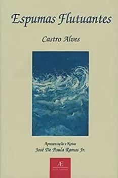 ESPUMAS FLUTUANTES (PRODUTO USADO - MUITO BOM)
