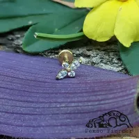 Labret em TITÂNIO  PVD GOLD ORNAMENTAL com Pedras  501 - Foto 2