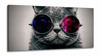 Quadro Decorativo  Gato Pisicodelico Cinza 1em Tecido Canvas
