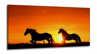 Quadro Decorativo  Sala Cavalos Por Do Sol Animais em Tecido canvas 130x60