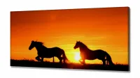 Quadro Decorativo  Sala Cavalos Por Do Sol Animais em Tecido canvas 130x60 - Foto 2