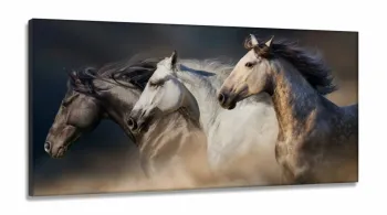 Quadro Decorativo 3 Cavalos em Tecido canvas 130x60
