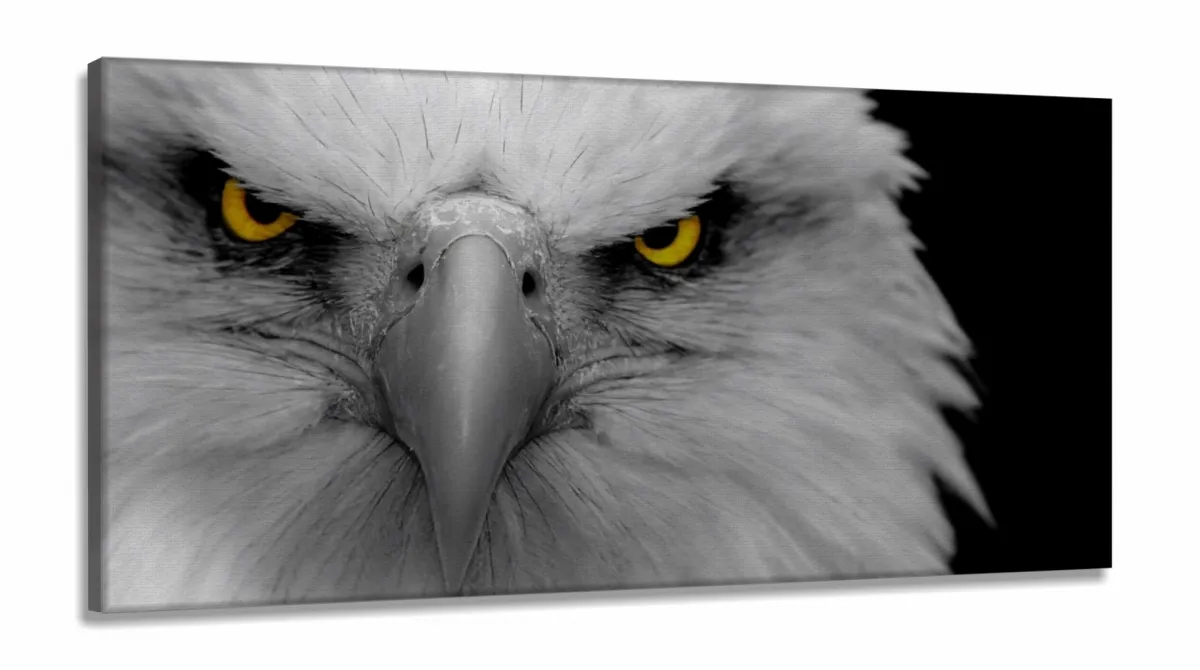 Quadro Decorativo Aguia 130x60 em Tecido Canvas Imagem