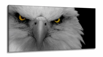 Quadro Decorativo Aguia 130x60 em Tecido Canvas