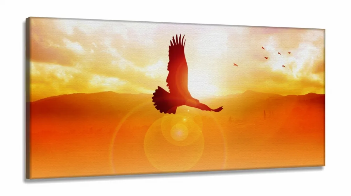 Quadro Decorativo Águia Horizonte 130x60 em Tecido Canvas Imagem