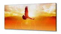Quadro Decorativo Águia Horizonte 130x60 em Tecido Canvas - Foto 2