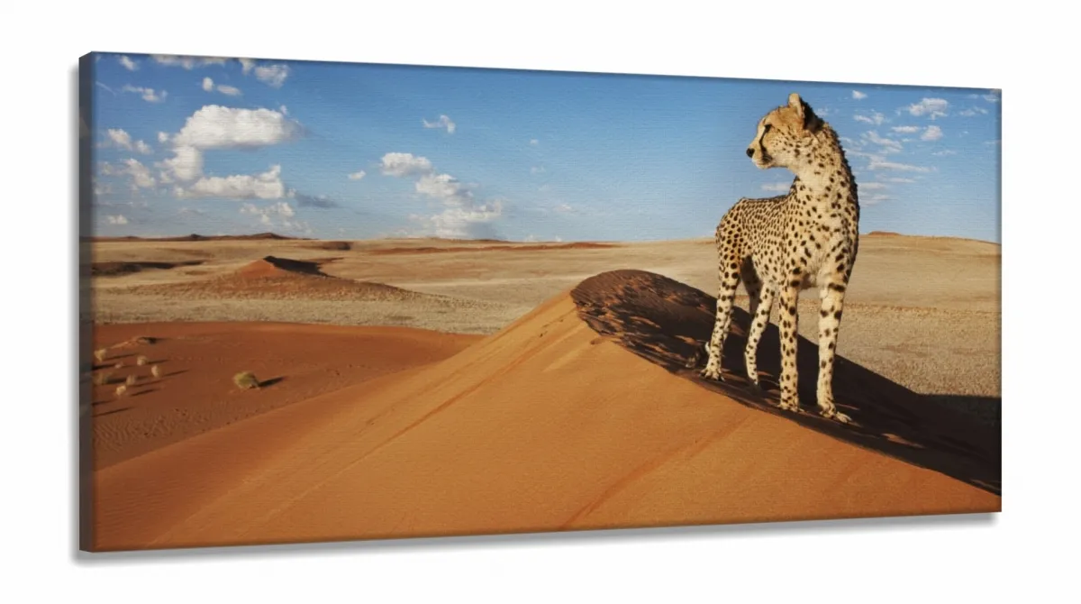 Quadro Decorativo Animais Deserto 130x60 em Tecido Canvas Imagem