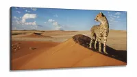 Quadro Decorativo Animais Deserto 130x60 em Tecido Canvas