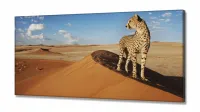 Quadro Decorativo Animais Deserto 130x60 em Tecido Canvas - Foto 2