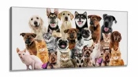 Quadro Decorativo Cães E Gatos Pets Hd em Tecido canvas 130x60