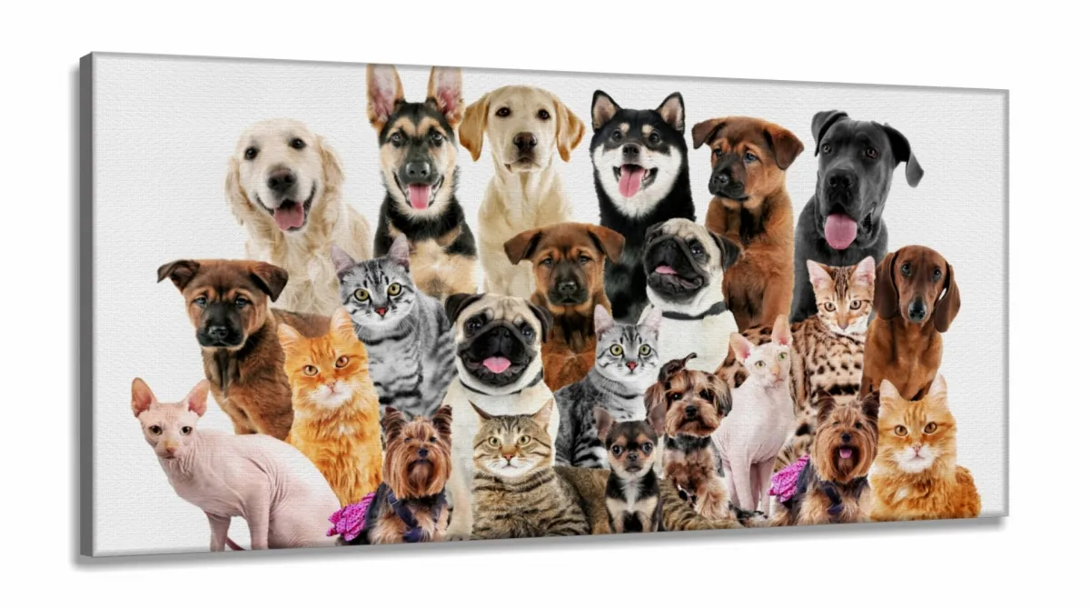 Quadro Decorativo Cães E Gatos Pets Hd em Tecido Canvas 130x60  Quarto Sala Imagem