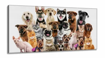 Quadro Decorativo Cães E Gatos Pets Hd em Tecido Canvas 130x60  Quarto Sala