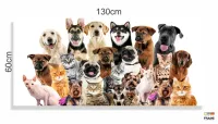 Quadro Decorativo Cães E Gatos Pets Hd em Tecido Canvas 130x60  Quarto Sala - Foto 3