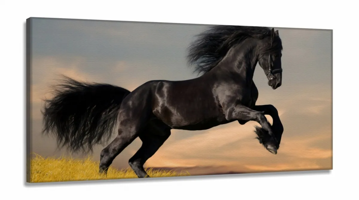 Quadro decorativo Cavalo Preto Pulando Para Sala Quarto em Tecido Canvas 130x60 Imagem